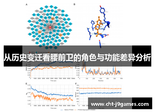 从历史变迁看腰前卫的角色与功能差异分析