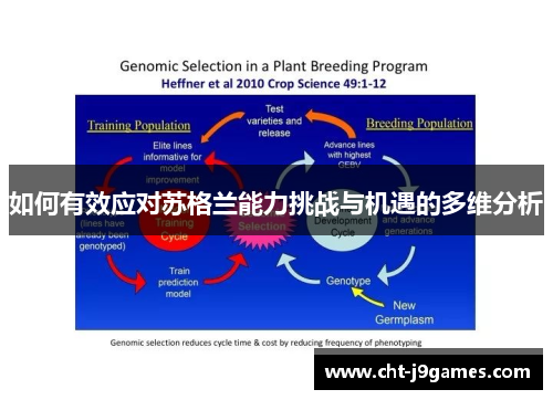 如何有效应对苏格兰能力挑战与机遇的多维分析