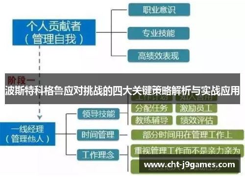 波斯特科格鲁应对挑战的四大关键策略解析与实战应用