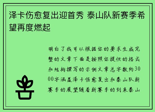 泽卡伤愈复出迎首秀 泰山队新赛季希望再度燃起