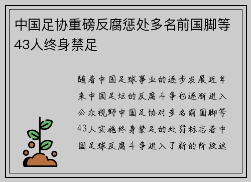 中国足协重磅反腐惩处多名前国脚等43人终身禁足 中国足协重磅反腐惩处多名前国脚等43人终身禁足